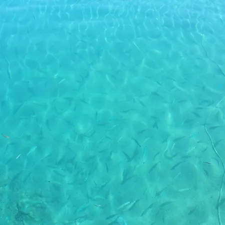 Arsen * Mali Lošinj